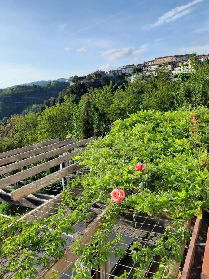 Villa Pavone コレリア・アンテルミネッリ エクステリア 写真